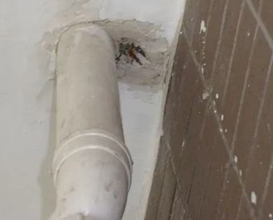 韶山漏水检测哪家好